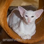 Гайка, 3,5 месяца