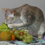 Бабочка 3,5 месяца