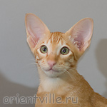 Хитюша, 3,5 месяца