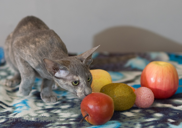 Helen 3,5 месяца