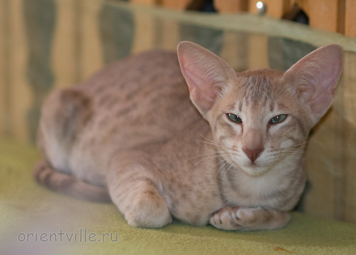 Люся 3,5 месяца