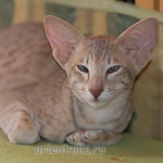 Люся 3,5 месяца