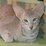 Люся 3,5 месяца