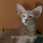 Люся 3,5 месяца