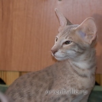 Люся 3,5 месяца