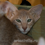 Люся 3,5 месяца