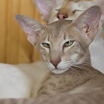 Люся 6 месяцев