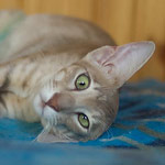 Люся 6 месяцев