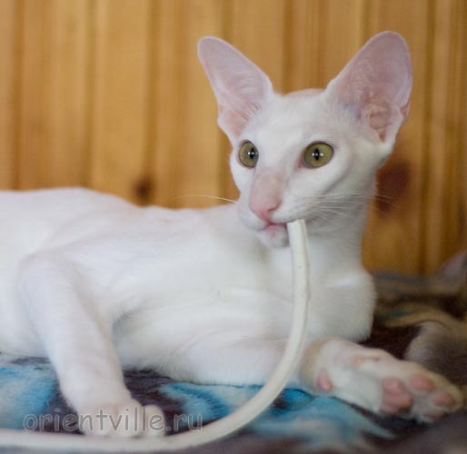 Hancock 6 месяцев