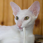 Hancock 6 месяцев