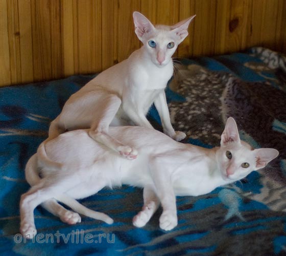 Hancock 6 месяцев