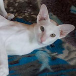 Hancock 6 месяцев