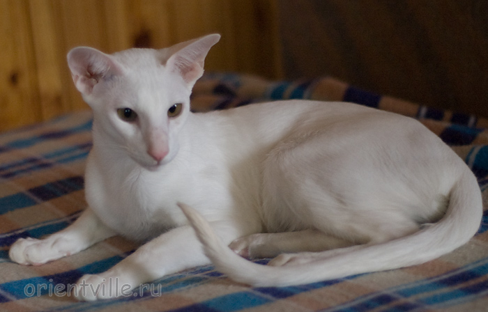 Hancock 8 месяцев