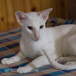 Hancock 8 месяцев