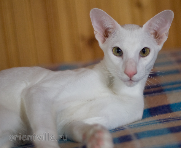 Hancock 8 месяцев