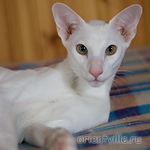 Hancock 8 месяцев