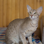 Люся 8 месяцев