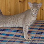 Люся 8 месяцев