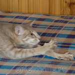 Люся 8 месяцев