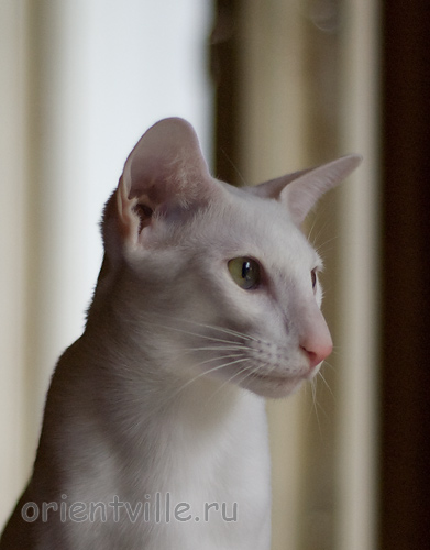 Hancock 8 месяцев