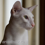 Hancock 8 месяцев