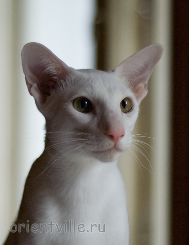 Hancock 8 месяцев