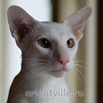 Hancock 8 месяцев