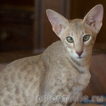 Люся 5 месяцев