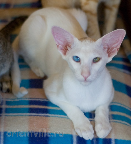 Гайка, 5 месяцев