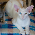 Гайка, 5 месяцев