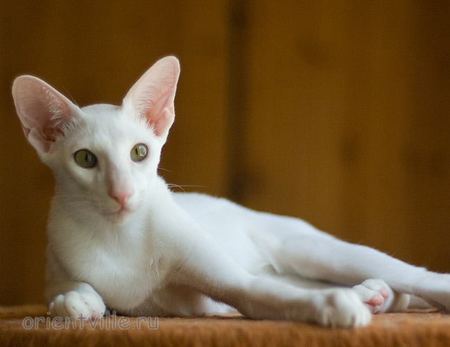 Hancock 5 месяцев