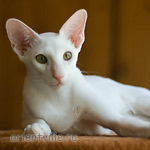 Hancock 5 месяцев