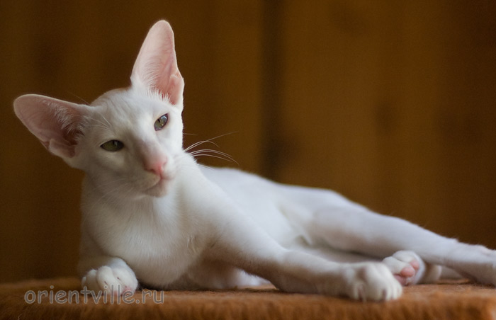 Hancock 5 месяцев