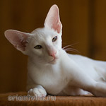 Hancock 5 месяцев