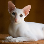 Hitch 5 месяцев