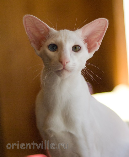 Гайка, 5 месяцев