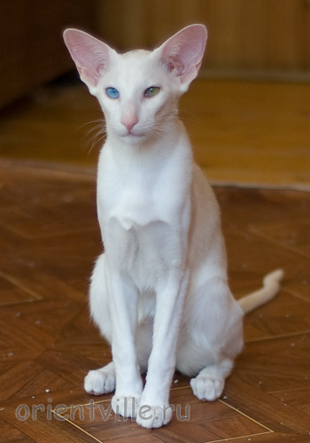 Гайка, 5 месяцев