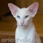 Гайка, 5 месяцев