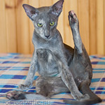 Helen 5 месяцев