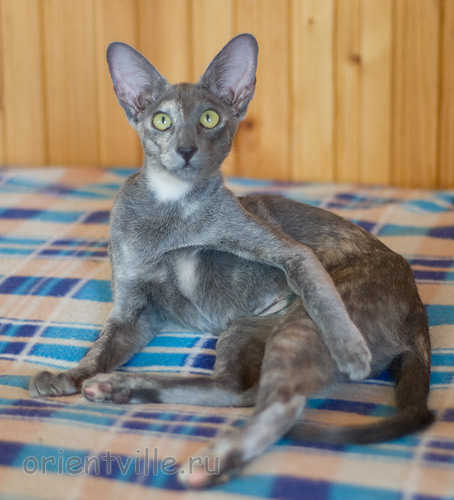 Helen 5 месяцев