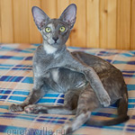 Helen 5 месяцев