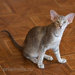 Бабочка 4,5 месяца