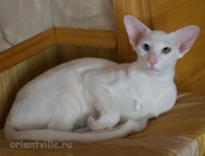 Гайка, 6,5 месяцев