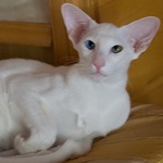 Гайка, 6,5 месяцев