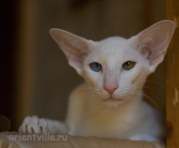 Гайка, 6,5 месяцев