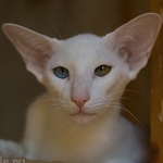 Гайка, 6,5 месяцев