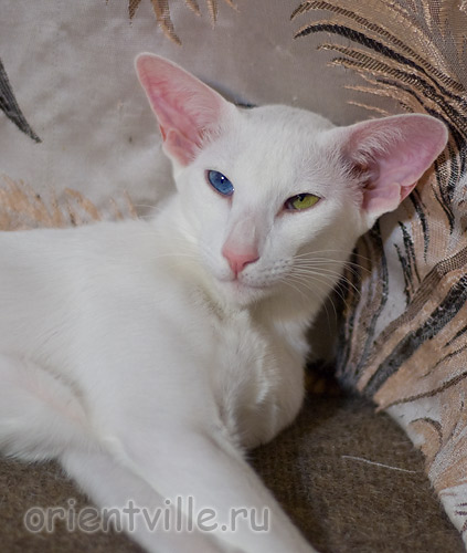 Гайка, 1 год