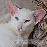 Гайка, 1 год