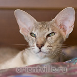 Бабочка 1 год