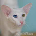 Гайка, 1 год